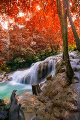 Waterfall among many foliages, In fall leaves Leaf color change, Hot Springs Onsen Natural Bath is...