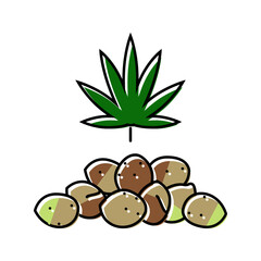 cannabis seeds color icon vector. cannabis seeds sign. isolated symbol illustration