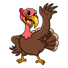 Cute turkey bird cartoon on white background