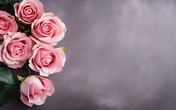 Pink roses arranged on grey background