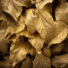golden tobacco leaves