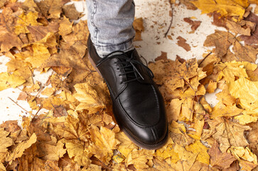 Male legs in shoes on autumn leaves