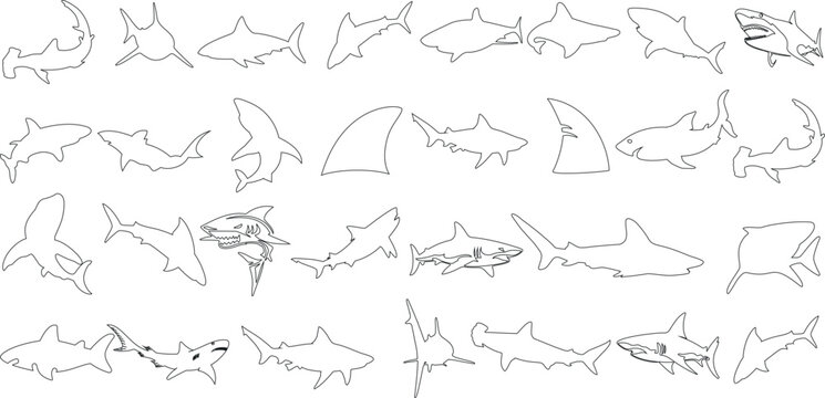 Shark Outline Vector Illustration, Dive into the deep with this striking vector illustration, showcasing a variety of shark outlines in dynamic poses. Perfect for marine-themed design projects, Sharks
