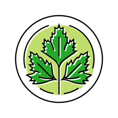 cilantro cosmetic plant color icon vector. cilantro cosmetic plant sign. isolated symbol illustration