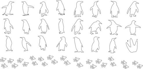 Conjunto de ilustraciones vectoriales de arte de línea de pingüinos, contorno de pingüinos para diseños de invierno, temas de animales. Presenta pingüinos de arte lineal en blanco y negro en varias - obrazy, fototapety, plakaty