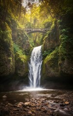 waterfall in the forest