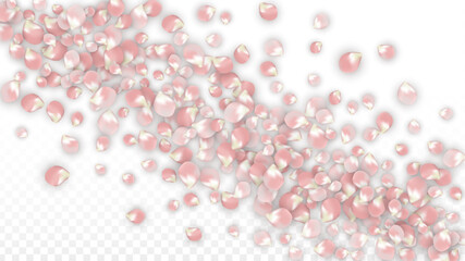 Pink Vector Realistic Petals Falling on Transparent Background.  Spring Romantic Flowers Illustration. Flying Petals. Sakura Spa Design. Blossom Confetti. Design Elements for Wedding Decoration.