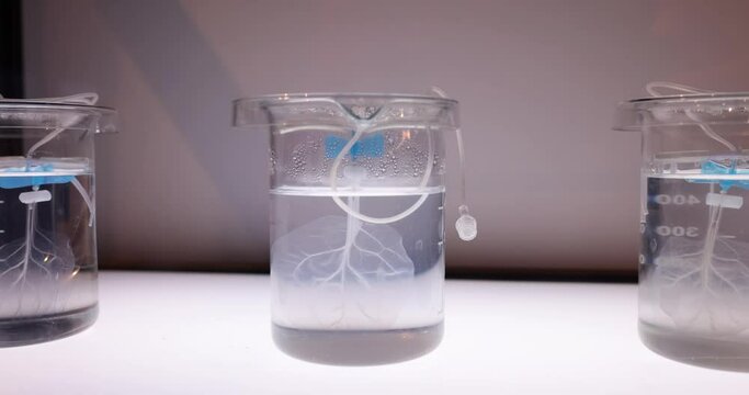 Experimental flask with clear liquid and sample element