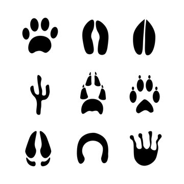animal tracks footprints icons set. Vector illustration. EPS 10.