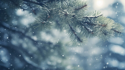Fototapeta na wymiar Fir tree branches in the snow. Winter background with snowflakes