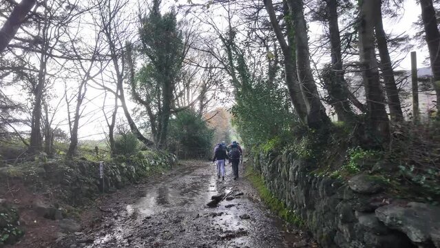 hillwalkers in ireland on an ancient trail to The Comeragh Mountains Waterford on a cold wet winter day