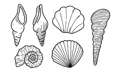 Set of hand drawn shells, clam, conch, nautilus clip art - obrazy, fototapety, plakaty