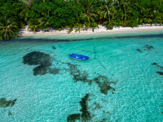 Aerial top view of a beautiful island paradise, waves on the beach, crystal clear ocean water, white clean sandy beach, tropical palm trees in the Maldives. Aerial top-down drone view.