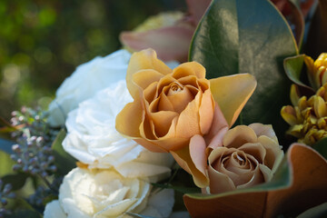 Close-up of arrangement of fall greenery and flowers.