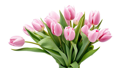 Obraz premium Pink tulips bouquet isolated on transparent background, png