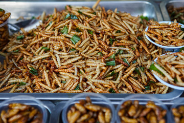 Deep fried bamboo worms at street food
