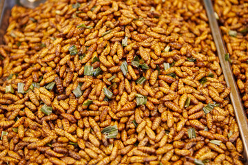 Deep fried silkworms chrysalis at street food