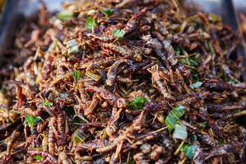 Deep fried grasshoppers at street food in Thailand