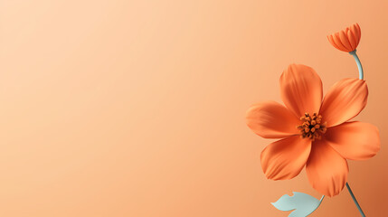 Fototapeta na wymiar Orange flower with copy space background,PPT background