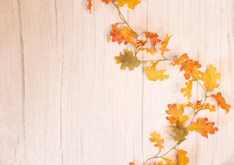Fall Leaves Background Wallpaper Soft Blur Blank Space
