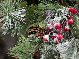 Christmas Tree Close Up Snow Pine Cone Berries