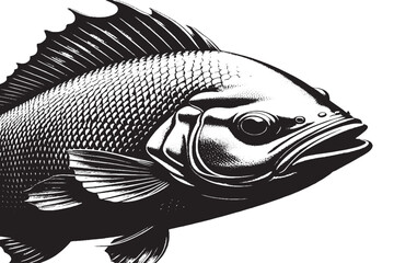 fishes black texture on white paper, vector illustration background texture - obrazy, fototapety, plakaty