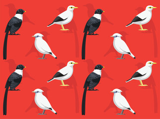 Bird Bali Myna Cartoon Cute Seamless Wallpaper Background