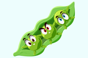 Cute Pea Character Design Illustration
