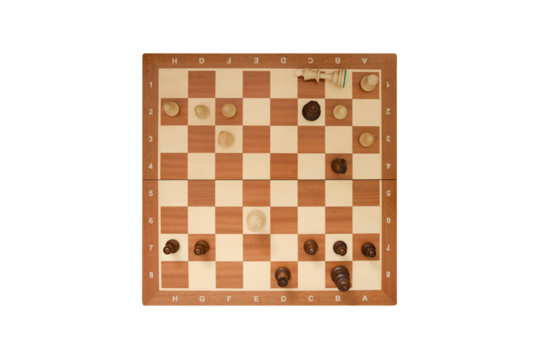 Checkmate to the chess king from the queen, the rules of conducting a chess game