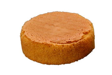 Fresh baked cake biscuit on a metal rack, side view, isolated on a white background