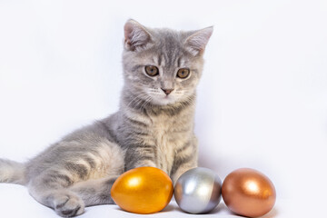 Fototapeta na wymiar A small gray striped kitten is playing with colored colored eggs lying on a white bed. A cheerful spring holiday. Easter with pets