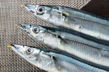 秋刀魚(さんま)のアップ。

