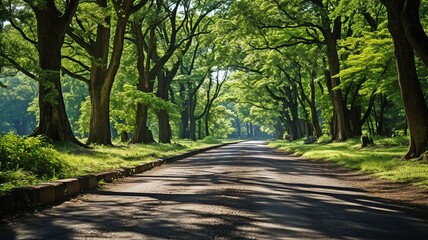 Fototapeta premium Green grass next to an asphalt road .