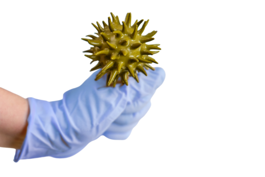 The fight of doctors with coronavirus, concept, isolated on a white background. Hand in medical glove holds flu virus.