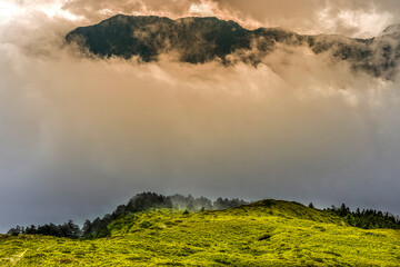 Close-up of stunning cloudscape. The rolling sea of ​​cloud, wonderful light reflections and cloudy sky on the green mountain tops create a scenic landscape. High quality photo, Hehuanshan,Taiwan.