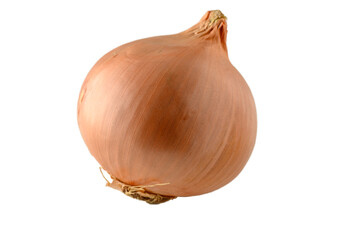 onion on white background for food delivery website 1