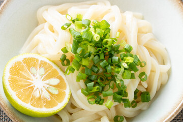 ぶっかけうどん(冷やし)。

