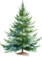 Watercolor Christmas tree 