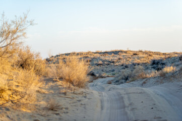 Enjoy the beauty of autumn in the steppe. Watch breathtaking sunsets over the dunes. Immerse yourself in stunning desert landscapes.