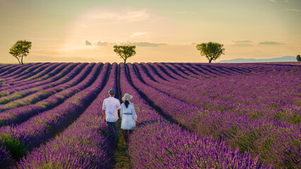 Provence Lavender Field France Valensole Plateau, a colorful field of Lavender flowers at the Valensole Plateau Provence Southern France, a couple of men and women on summer vacation in France