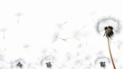 Rolgordijnen Flying dandelion seeds © Tariq