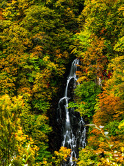 waterfall in autumn