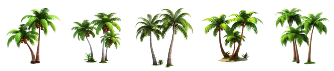 Fototapeten Set of 3d cartoon clipart palm tree branches isolated on white and transparent background © Black Pig