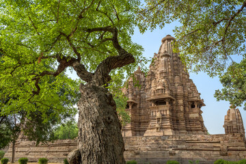 The Khajuraho Group of Monuments are a group of Hindu and Jain temples in Chhatarpur district,...
