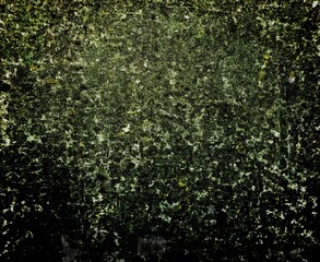 Fototapeta premium green leaves background Elevate your design with a grunge-inspired abstract wallpaper