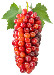 Red Shine Muscat grape with leaves isolated on white, Red Shine Muscat Grape isolated on white background With clipping path.