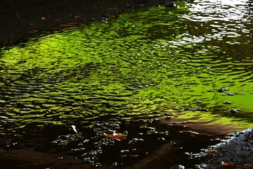 A landscape in my heart. An extraordinary world within everyday life. Abstract background material...