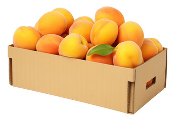 Orchard's Finest: A Box Brimming with Fresh Apricot Splendor isolated on transparent background