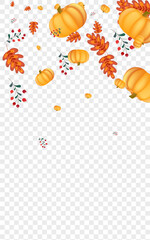 Orange Pumpkin Background Transparent Vector. Red Cozy Border. Gold Gourd Drawing Frame. Leaves Season. Image Banner.