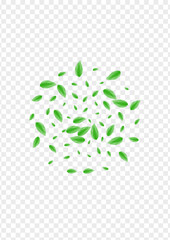 Greenish Vegetation Background Transparent Vector. Sheet Fresh Card. Concept Illustration. Light Green Motion Frame. Plant Wild.